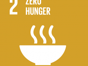 Goal #2: End hunger