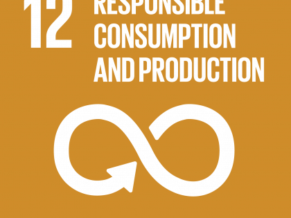 Goal #12: Sustainable Consumption & Production